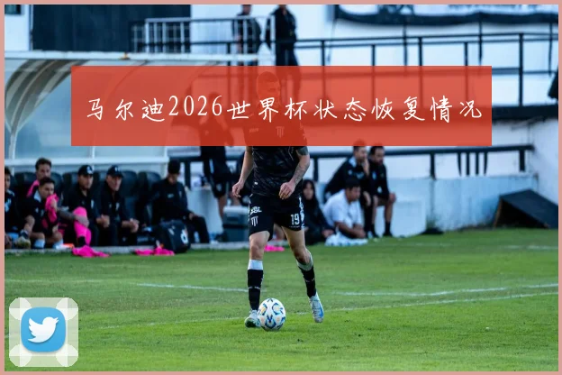 马尔迪2026世界杯状态恢复情况