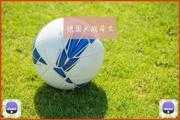 德国大战荷兰