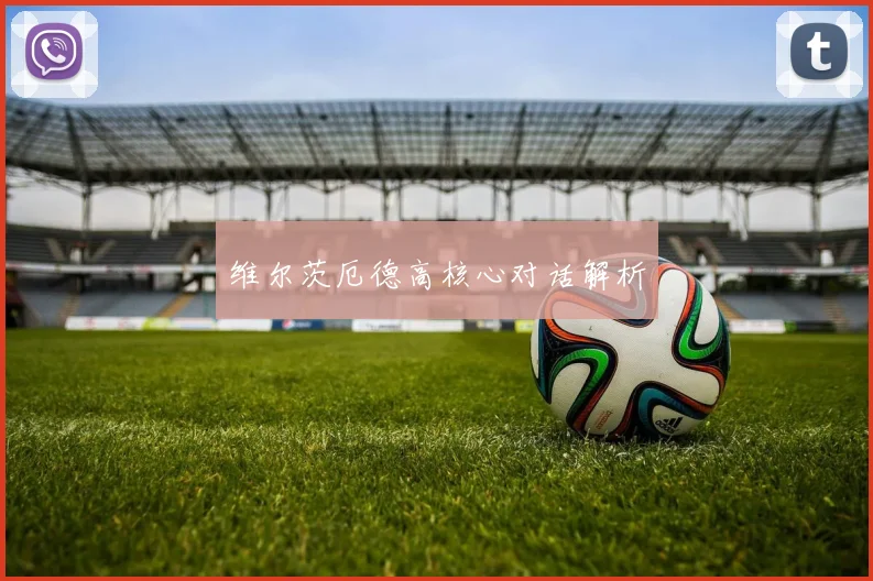 维尔茨厄德高核心对话解析