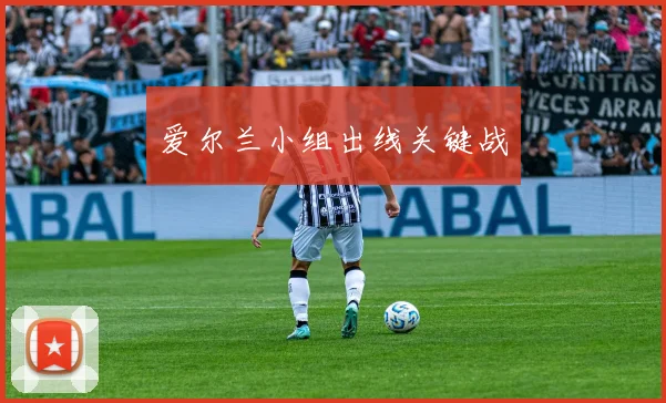 爱尔兰小组出线关键战
