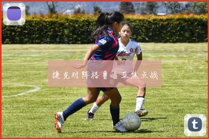 捷克对阵格鲁吉亚焦点战