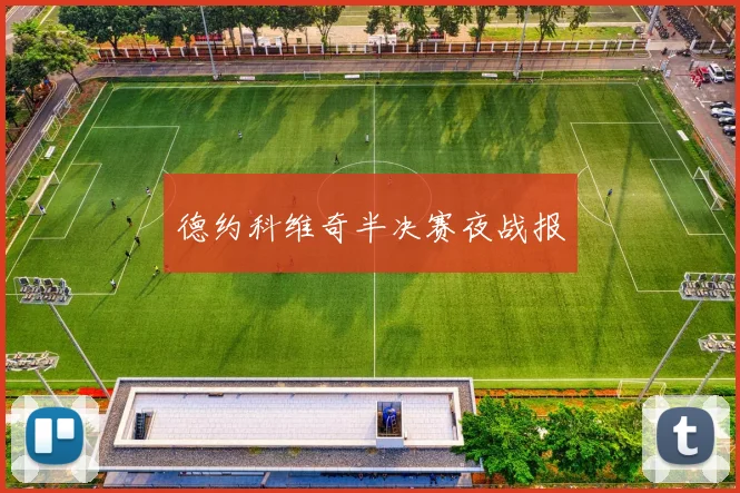 德约科维奇半决赛夜战报