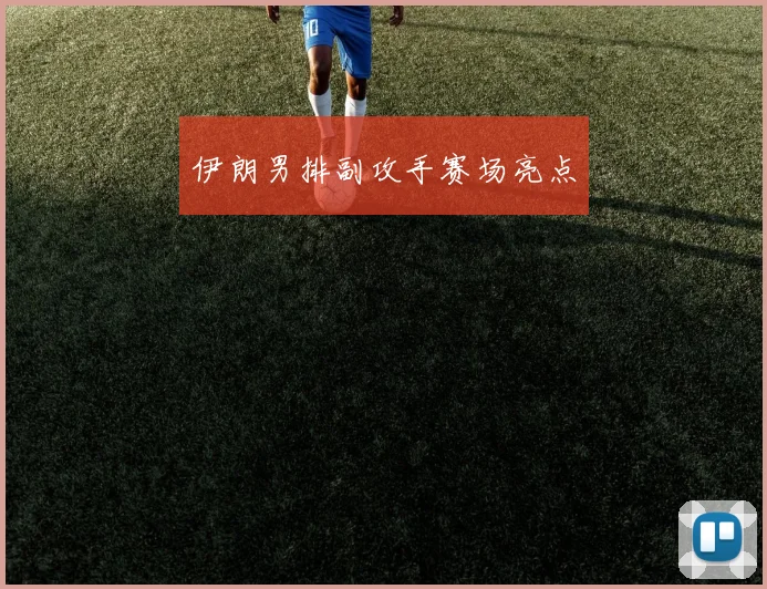 伊朗男排副攻手赛场亮点