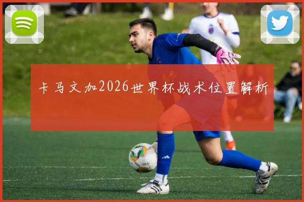 卡马文加2026世界杯战术位置解析