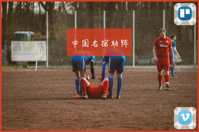 中国名宿助阵