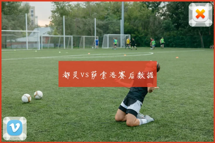 都灵vs萨索洛赛后数据