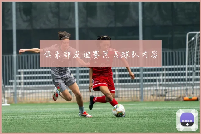 俱乐部友谊赛黑马球队内容