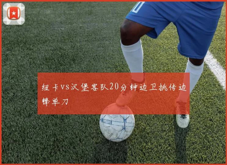 纽卡vs汉堡客队20分钟边卫挑传边锋单刀